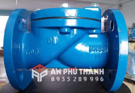 Van 1 Chiều Cánh Cao Su PN10/16