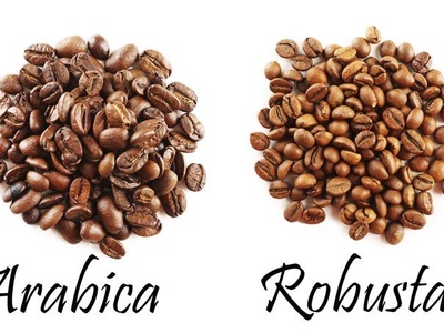 Robusta - Đậm đà hương vị cà phê Việt