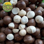 Hạt Mắcca sấy Lộc Gia Farm 500g